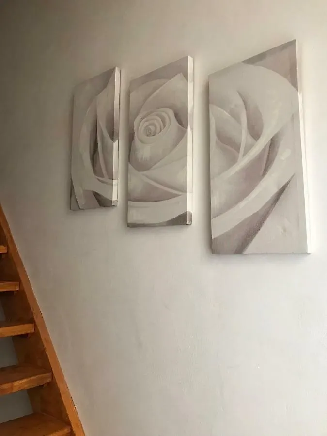 Il Nido - Cozy Studio Apartment In Santa Croce Florence Italy